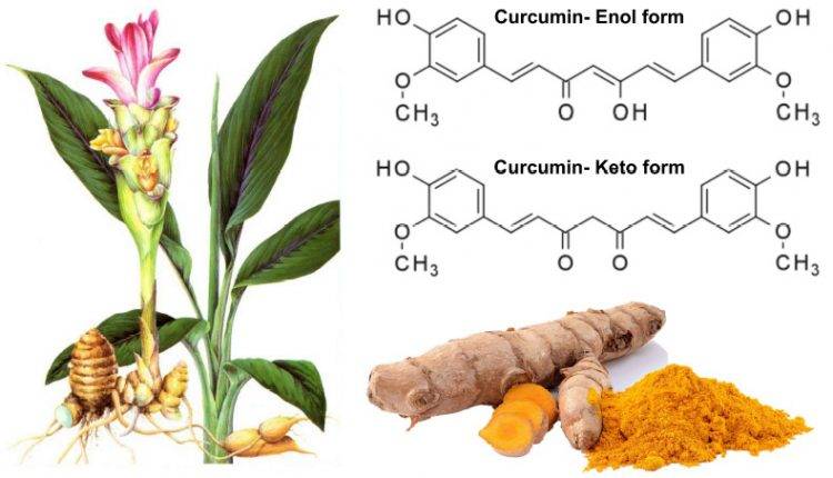 Turmeric extract