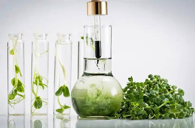 plant extraction