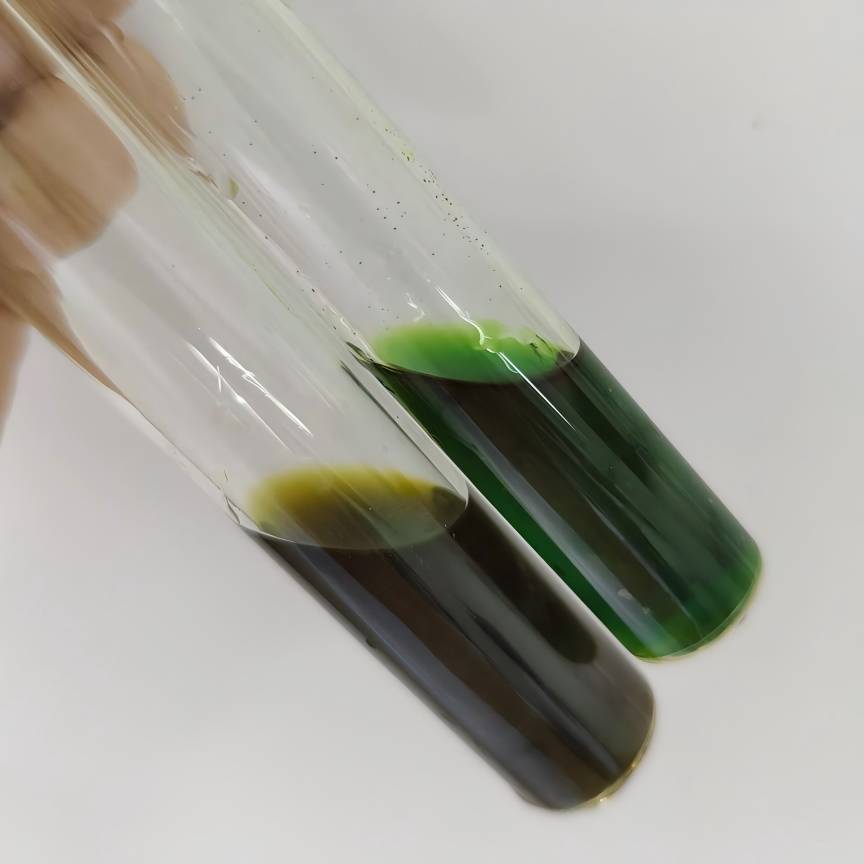 sodium copper chlorophyllin