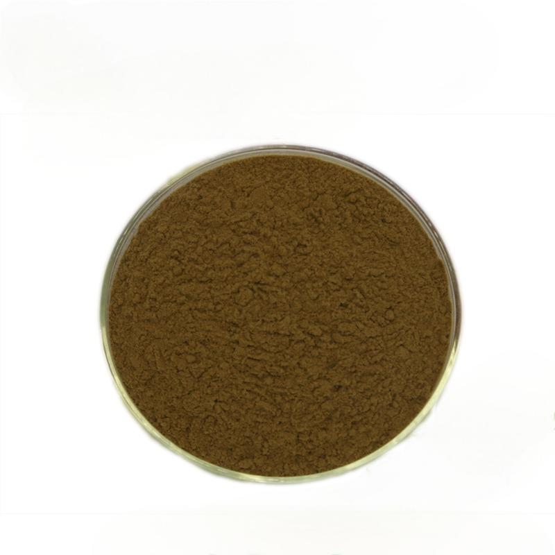 Black Garlic powder