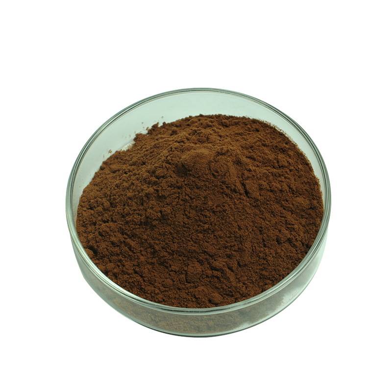 Black Garlic extract powder