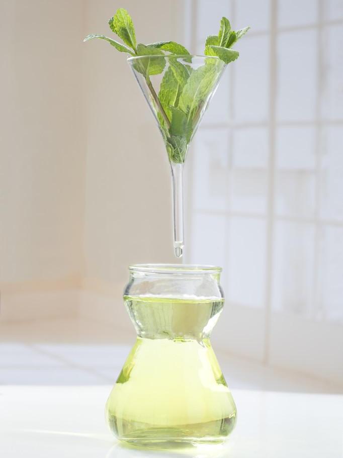 plant extraction