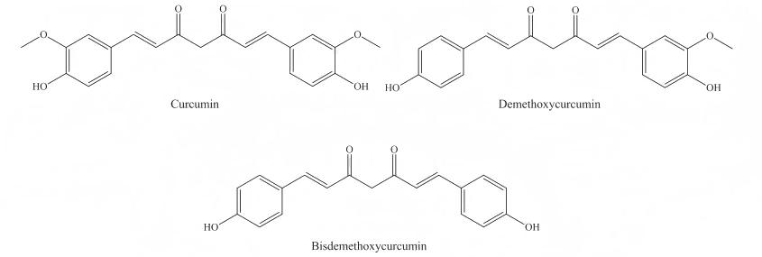 Curcumin extract 