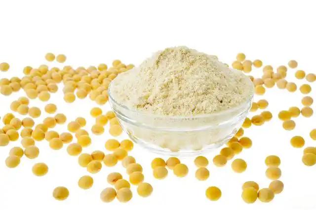 soy protein isolate
