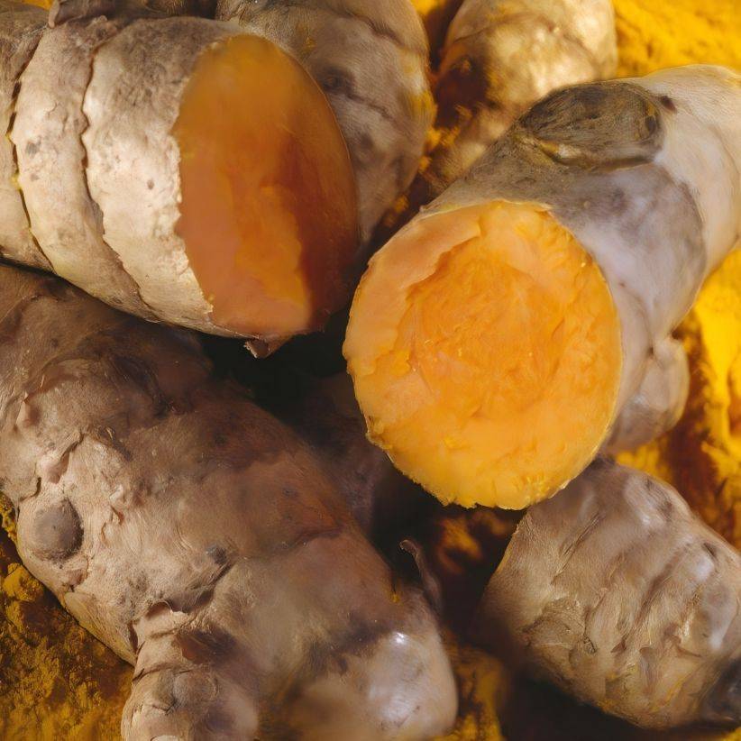 turmeric