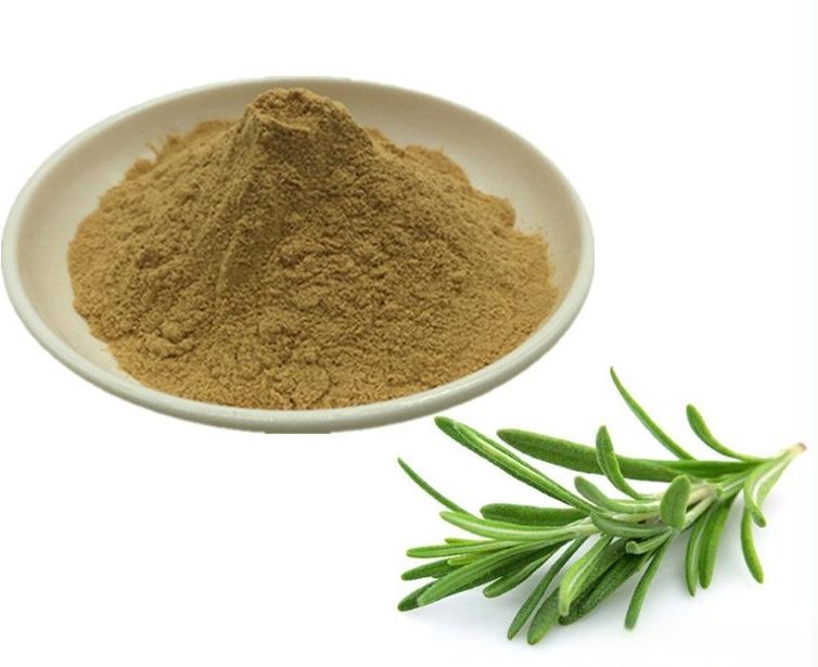 Rosemary extract powder