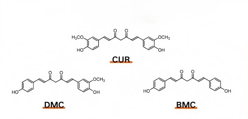 Curcumin extract 