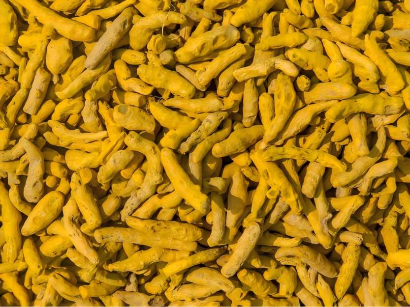 turmeric