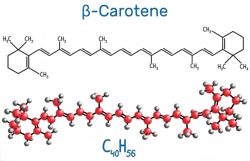Beta-carotene extract