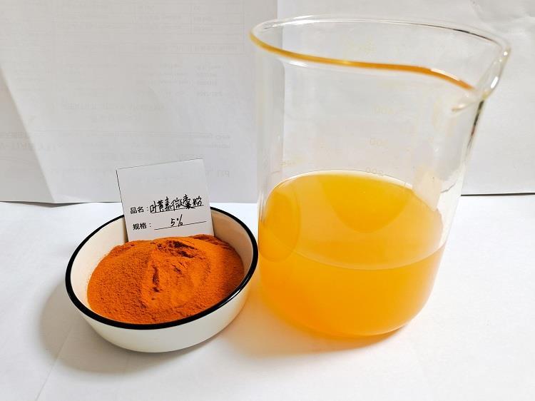 Lutein powder