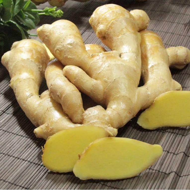 Ginger 