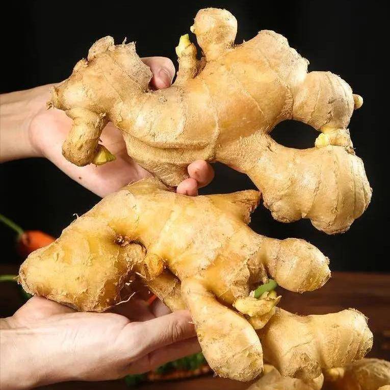 Ginger 