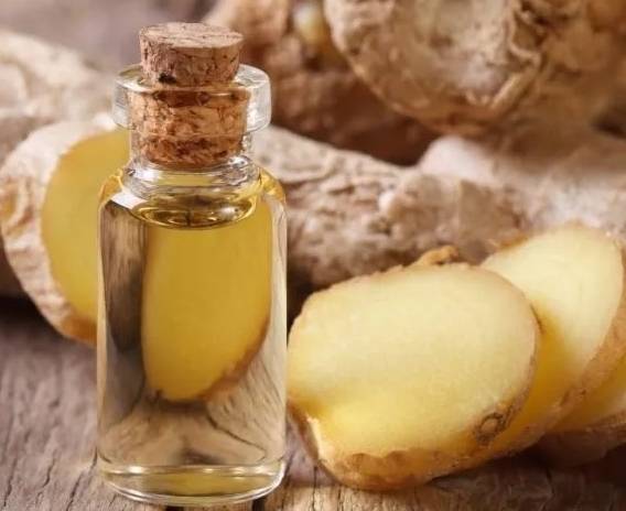 Ginger essential oil
