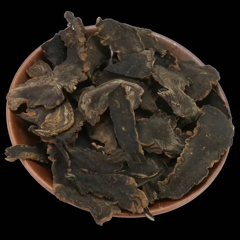  Ginseng 