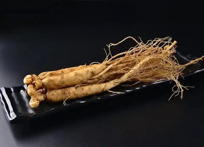  Ginseng 