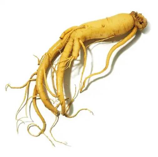  Ginseng 