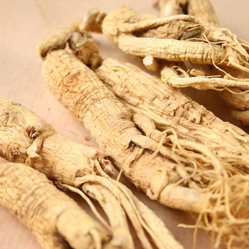  Ginseng 