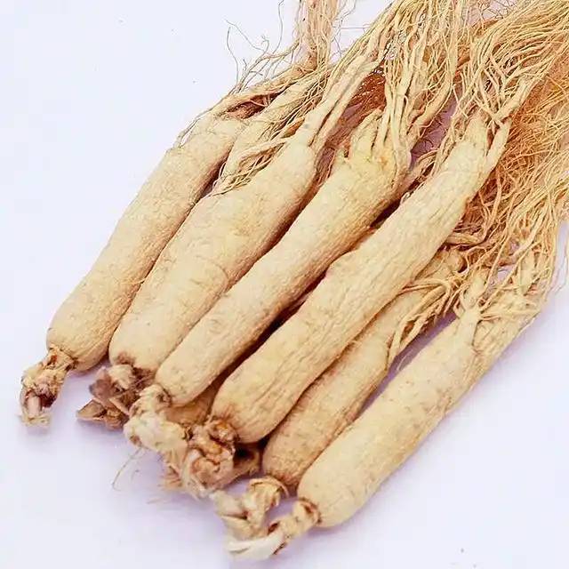  Ginseng 