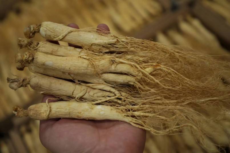  Ginseng 
