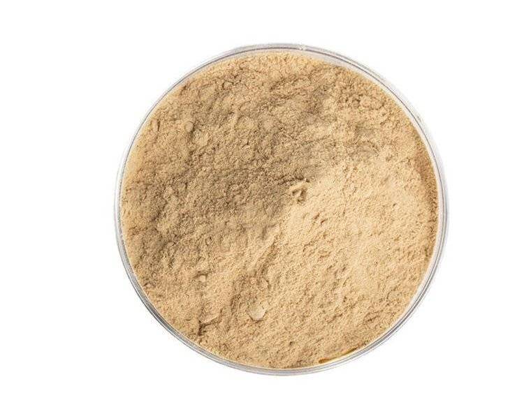 Luo Han Guo extract powder