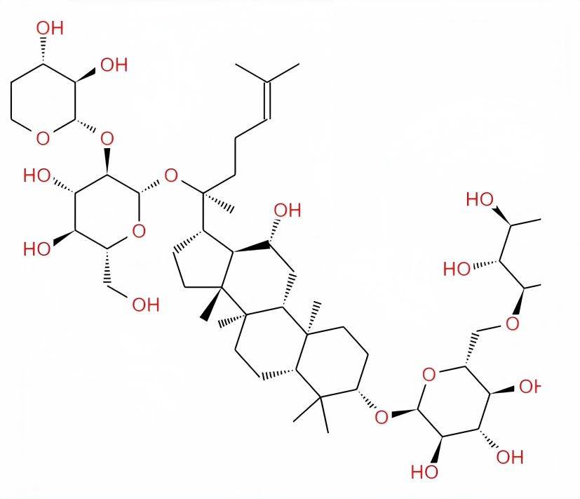  Ginseng extract 