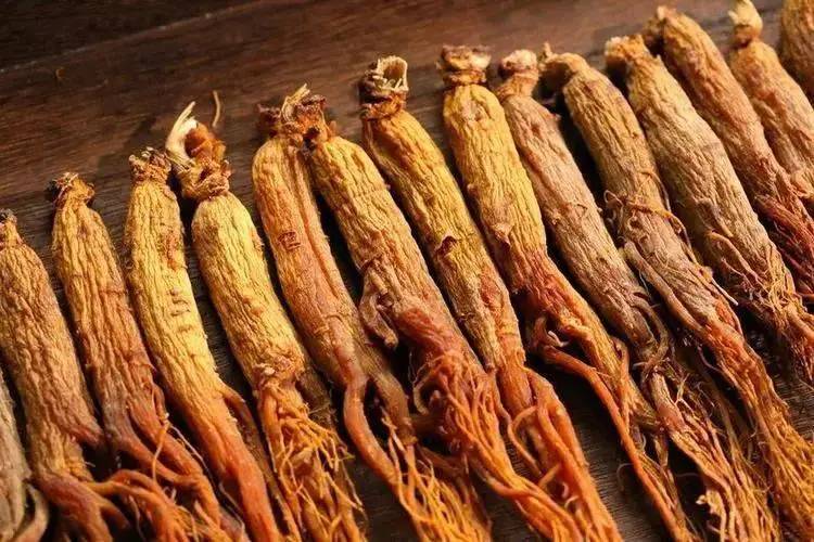  Ginseng 