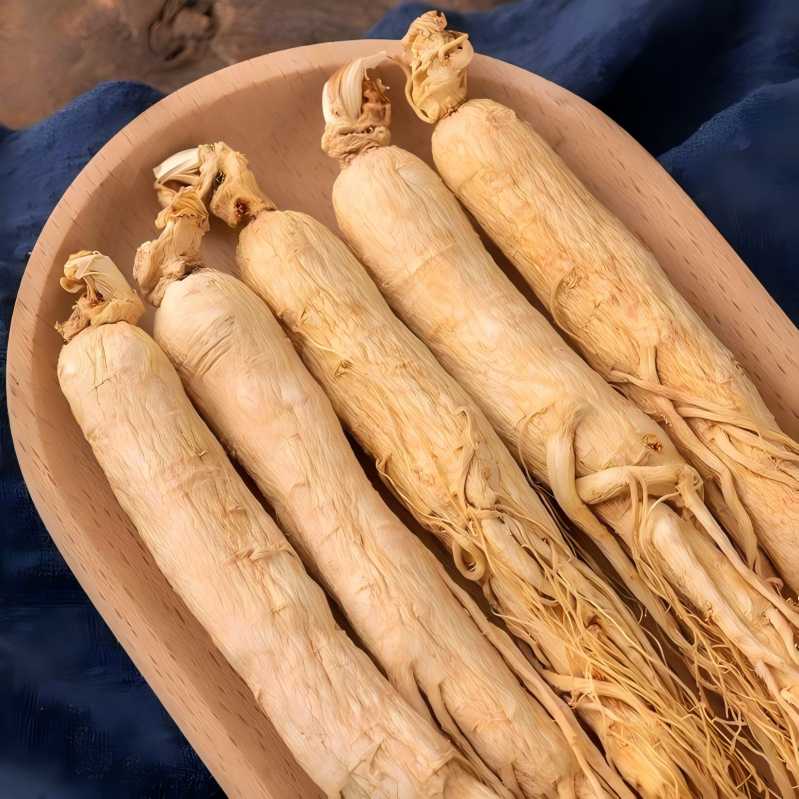   Ginseng 
