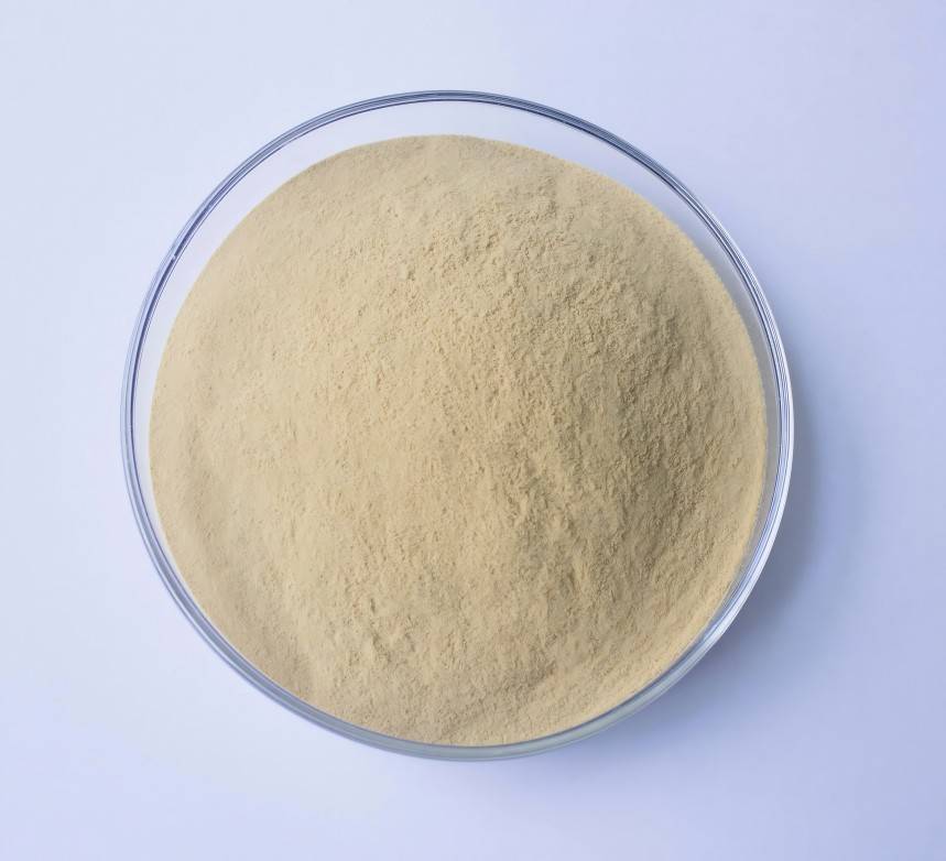 Luo Han Guo extract powder