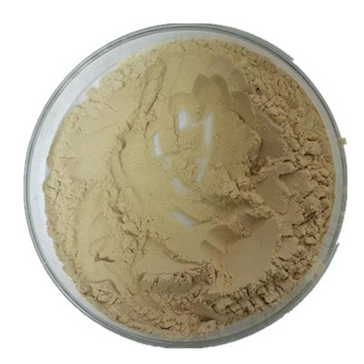 Luo Han Guo extract powder