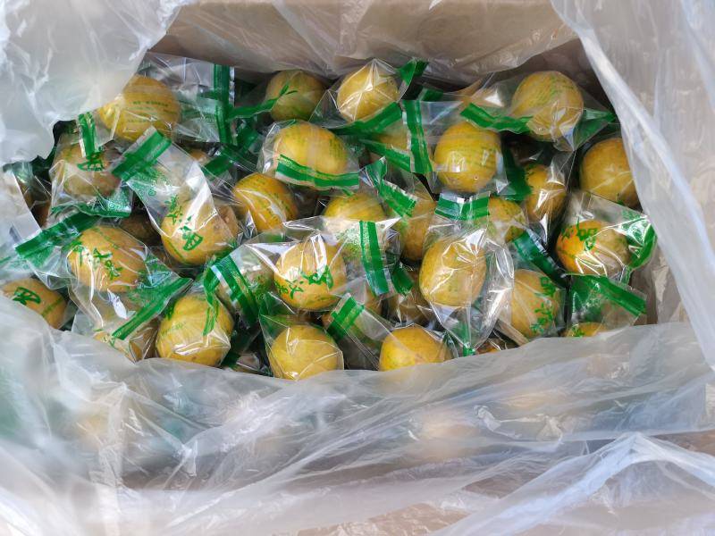 Luo Han Guo product