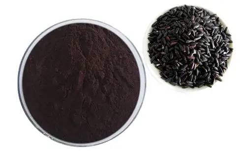 Black Rice extract powder