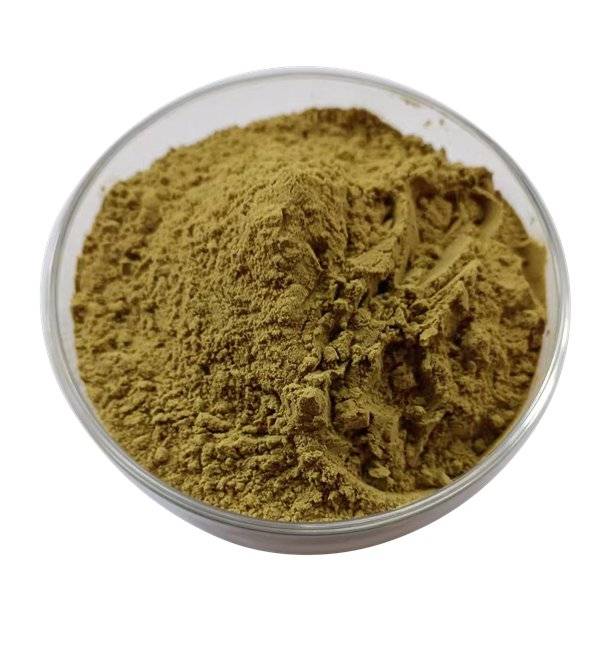 Echinacea extract powder