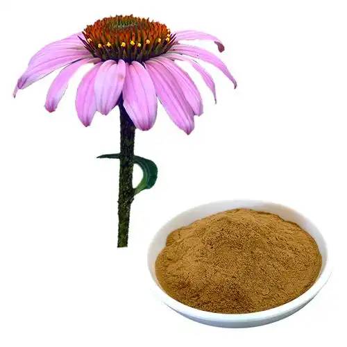 Echinacea extract powder