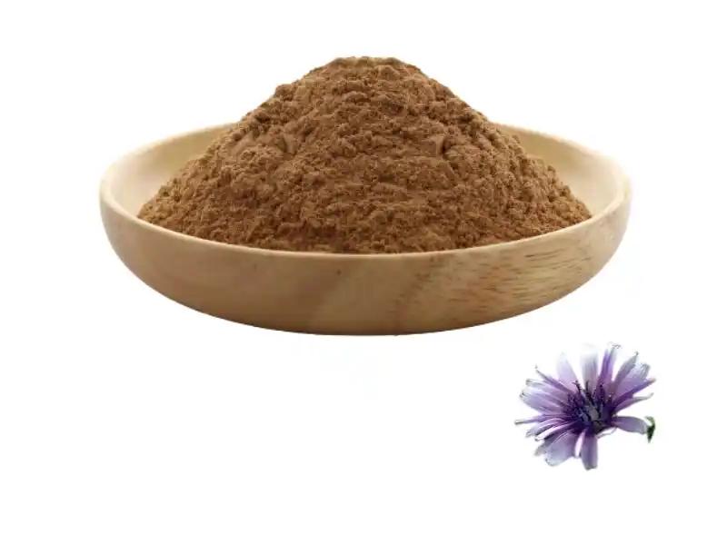 Echinacea extract powder