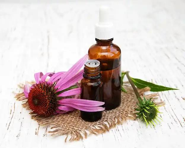 Echinacea essential oil