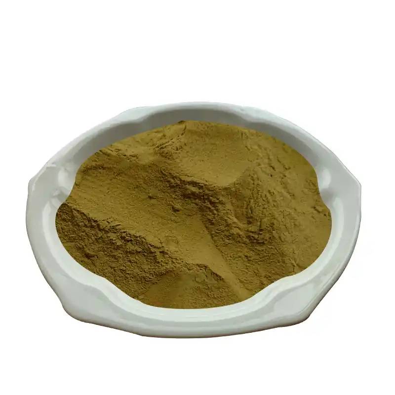 Echinacea extract powder