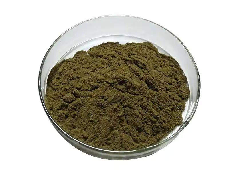 Echinacea extract powder