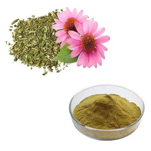Echinacea extract powder