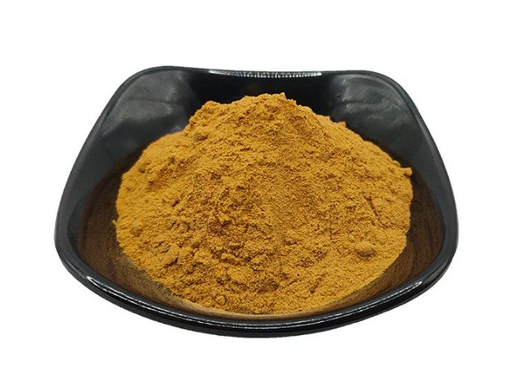Echinacea extract powder