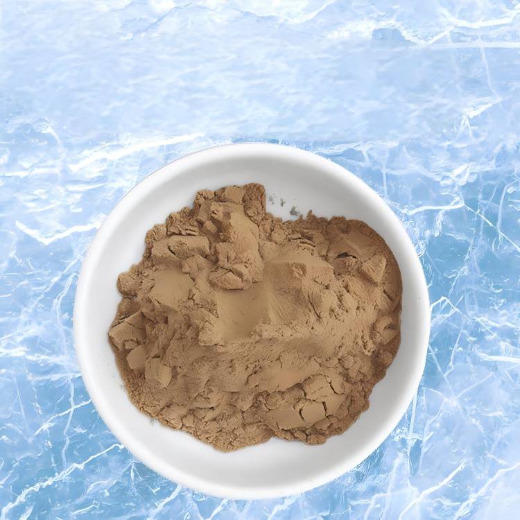 Echinacea extract powder