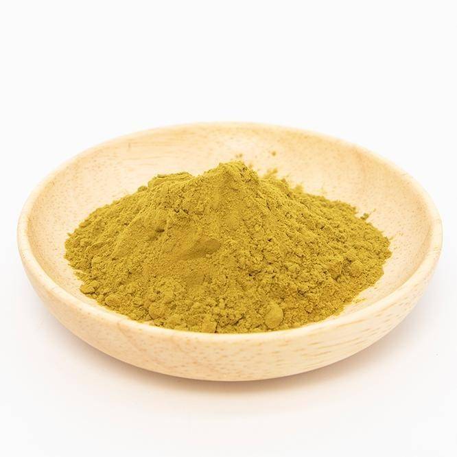 Echinacea extract powder