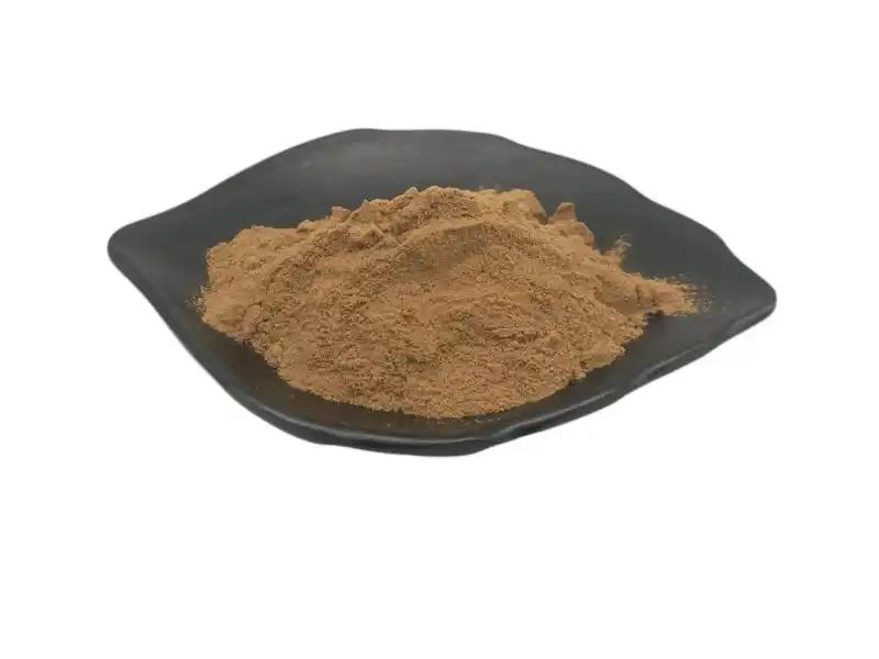 Echinacea extract powder