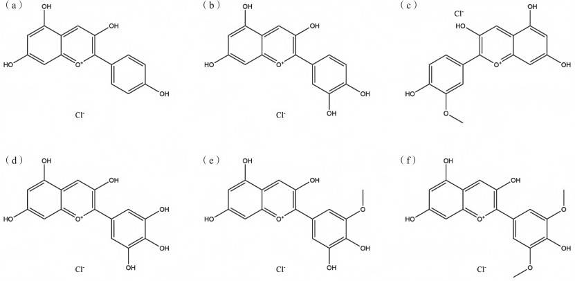 Anthocyanins
