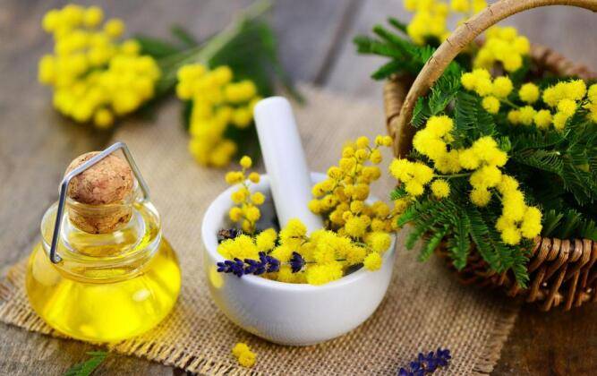 essential oil