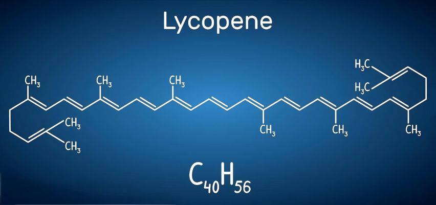 Lycopene Powder