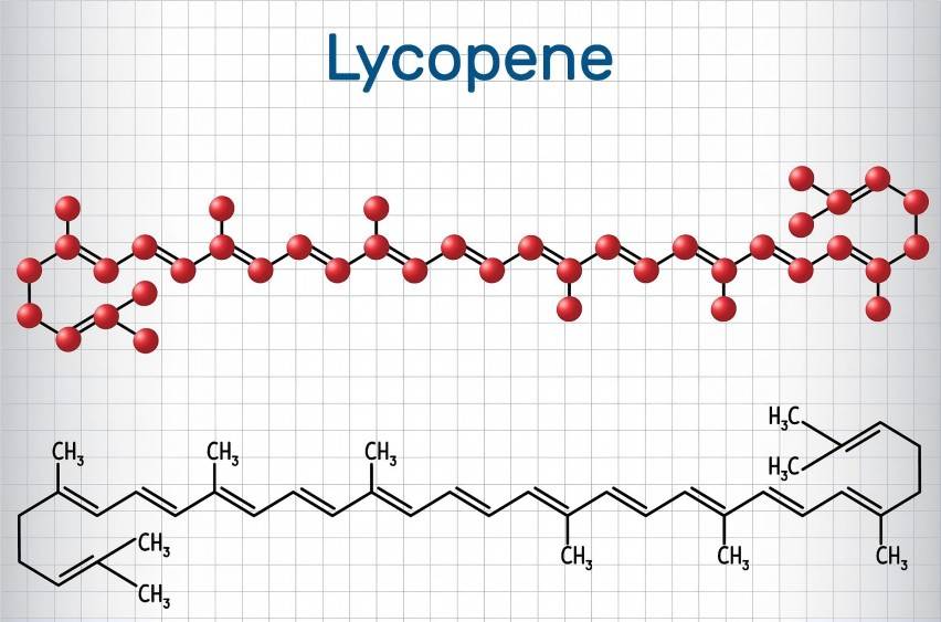 Lycopene Powder