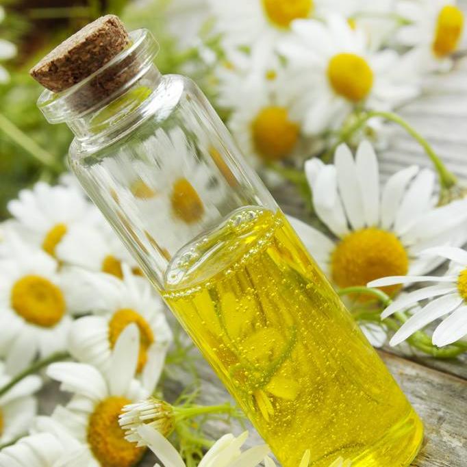 Chamomile essential oil