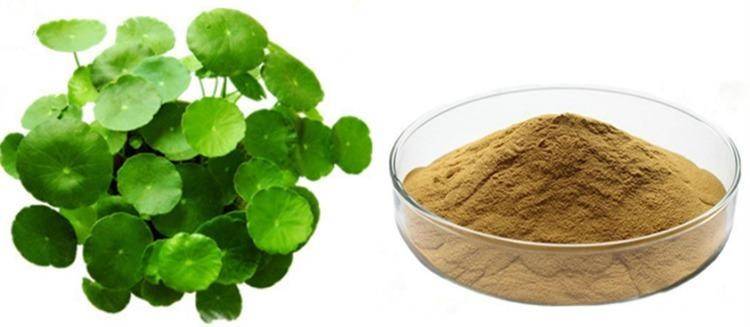 Centella Asiatica extract powder