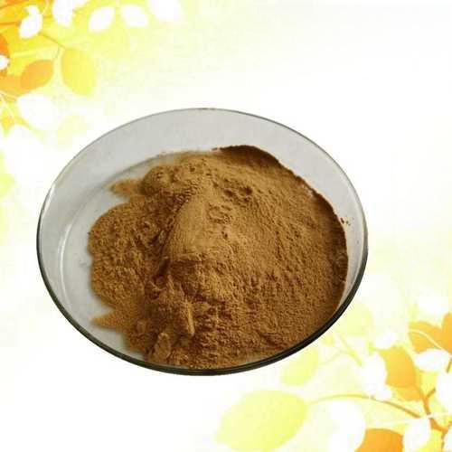 ginkgo biloba extract powder