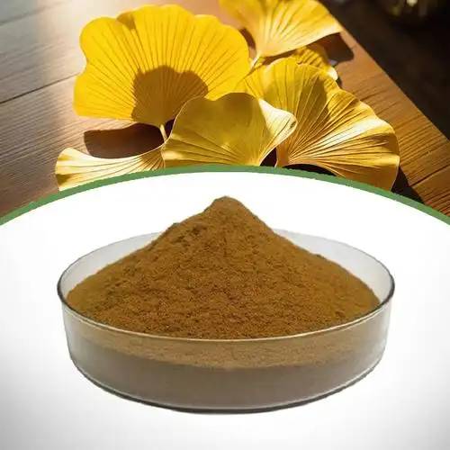 ginkgo biloba extract powder